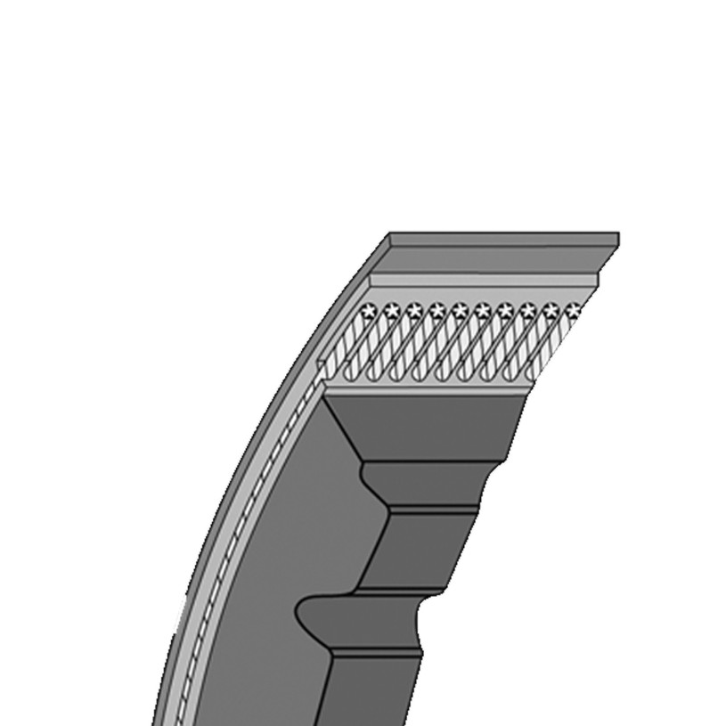 Courroie Trapézoïdale Etroite Crantée - Série XPB - 16,3MM XPB 1250 - 1250Ld/1272La PROMECA