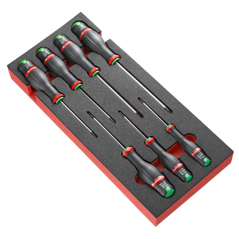 Module 7 Tournevis Résistorx® FACOM PROTWIST® P.Mousse - MODM.ATXR FACOM